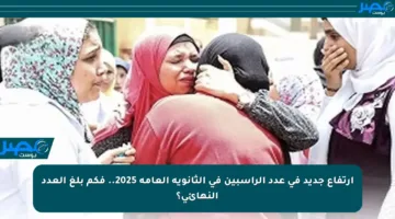 ارتفاع جديد في عدد الراسبين في الثانوية العامة 2025.. فكم بلغ العدد النهائي؟